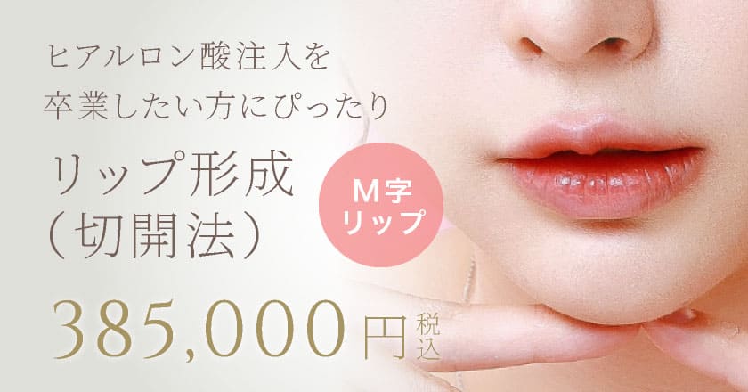 リップ形成（切開法）