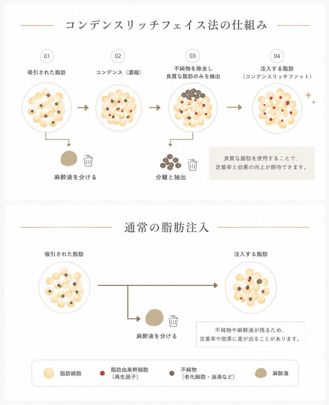 コンデンスリッチフェイス脂肪注入