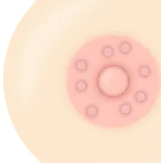 モントゴメリー腺除去