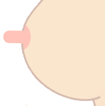 乳頭縮小