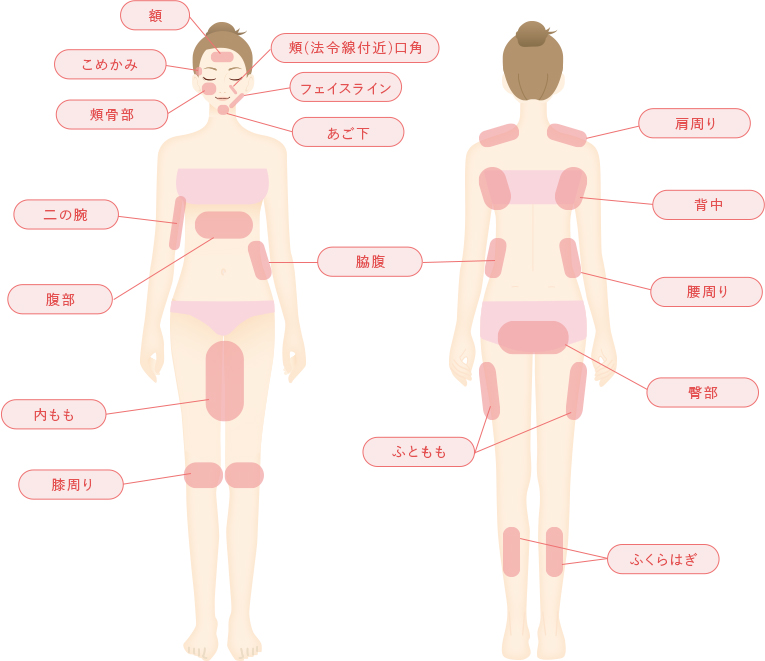 デオリポって一体なに?効果やよくある質問を解説します!