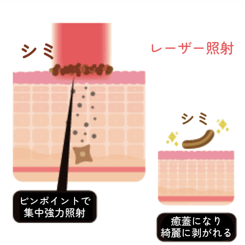 ハリウッドスペクトラ