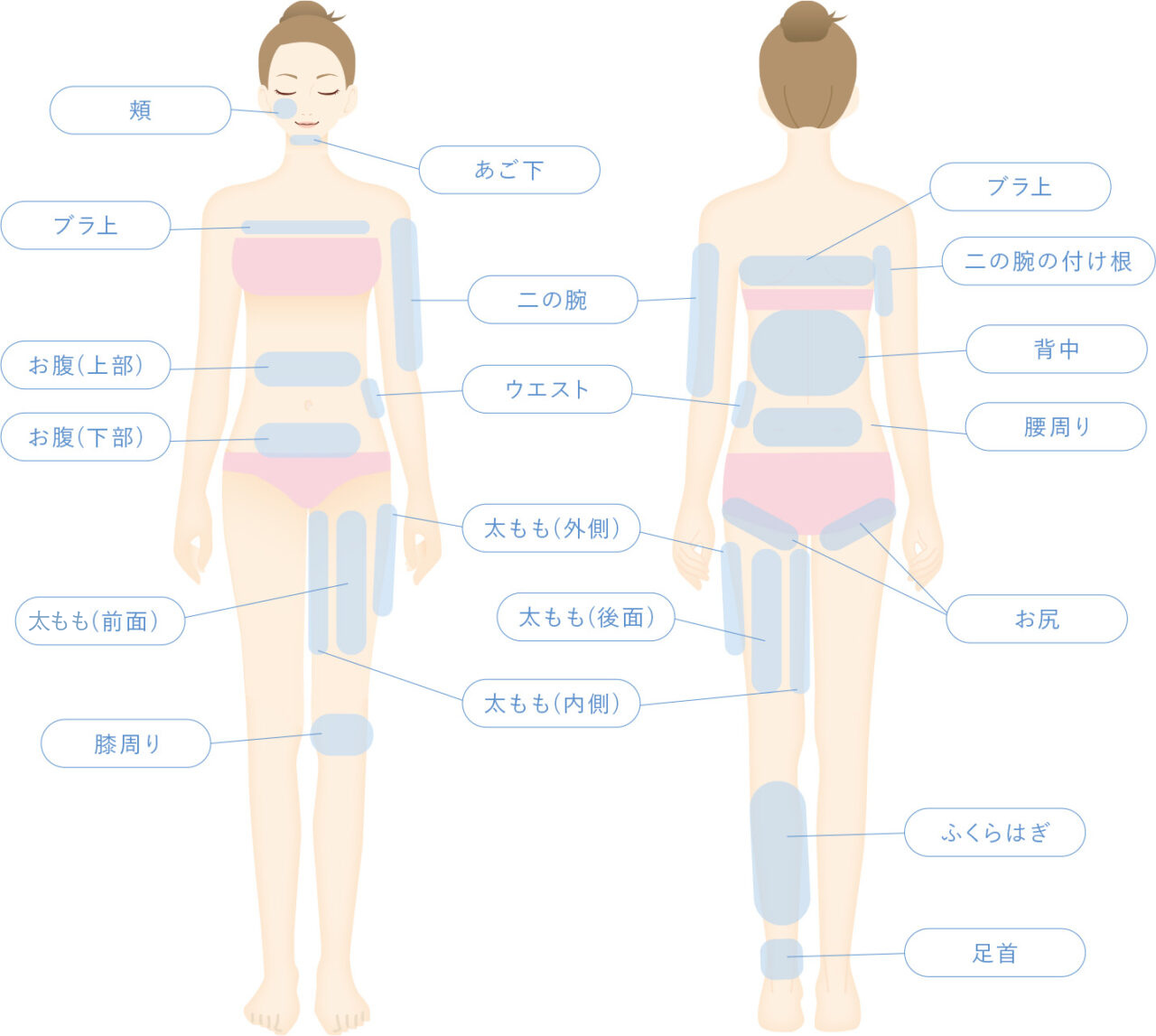 脂肪吸引