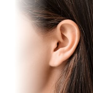 立ち耳ヒアルロン酸